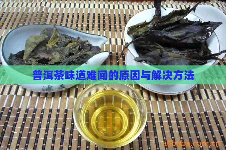 普洱茶味道难闻的原因与解决方法