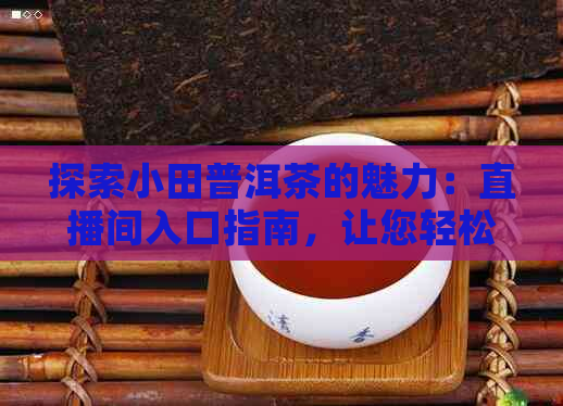 探索小田普洱茶的魅力：直播间入口指南，让您轻松品鉴云南好茶