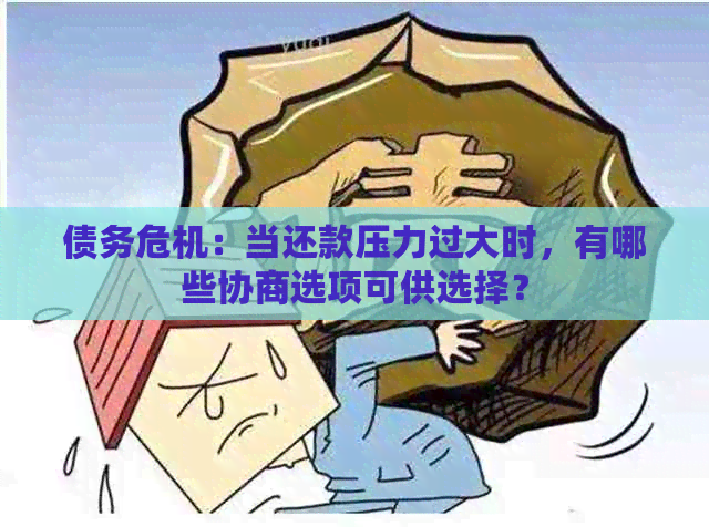 债务危机：当还款压力过大时，有哪些协商选项可供选择？