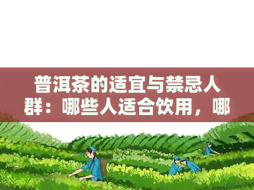 普洱茶的适宜与禁忌人群：哪些人适合饮用，哪些人应避免？