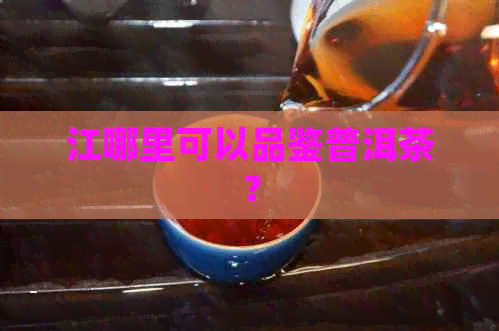 江哪里可以品鉴普洱茶？