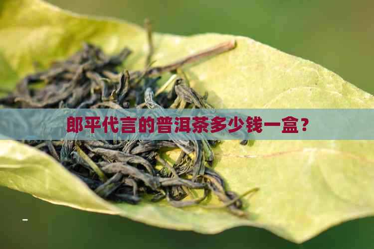 郎平代言的普洱茶多少钱一盒？