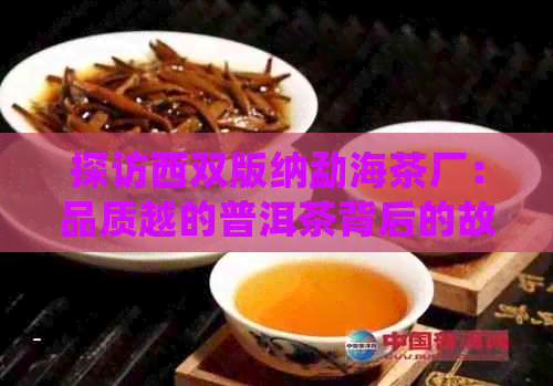 探访西双版纳勐海茶厂：品质越的普洱茶背后的故事与制作工艺