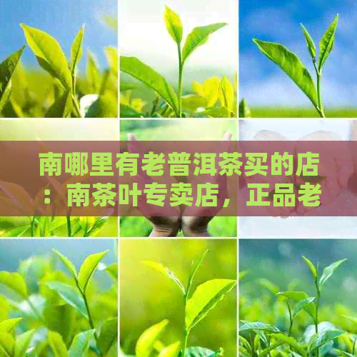 南哪里有老普洱茶买的店：南茶叶专卖店，正品老普洱茶供应。