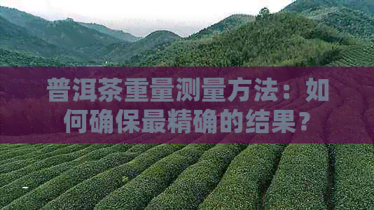 普洱茶重量测量方法：如何确保最精确的结果？