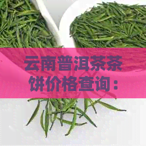 云南普洱茶茶饼价格查询：官网及网价一览