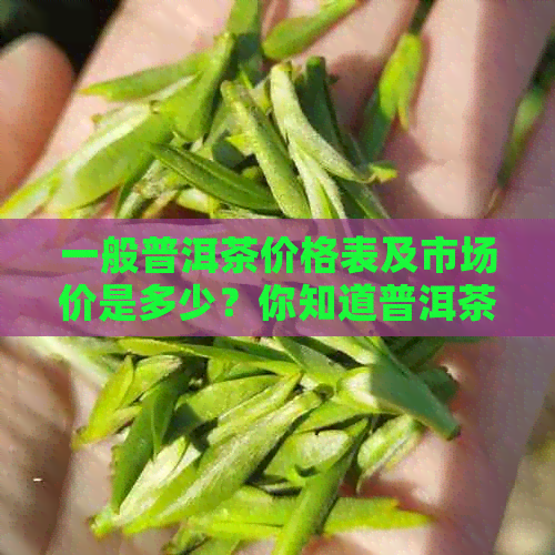 一般普洱茶价格表及市场价是多少？你知道普洱茶的一般价格吗？