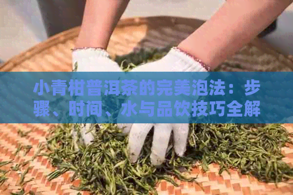 小青柑普洱茶的完美泡法：步骤、时间、水与品饮技巧全解析