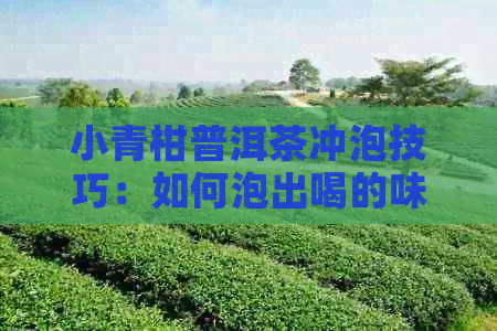 小青柑普洱茶冲泡技巧：如何泡出喝的味道