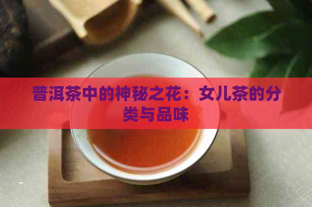 普洱茶中的神秘之花：女儿茶的分类与品味