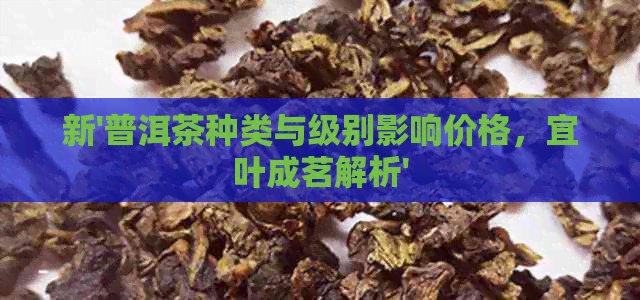 新'普洱茶种类与级别影响价格，宜叶成茗解析'