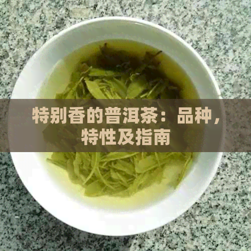 特别香的普洱茶：品种，特性及指南