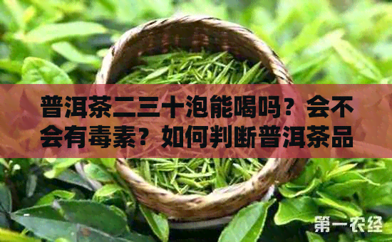 普洱茶二三十泡能喝吗？会不会有素？如何判断普洱茶品质及保存方法？