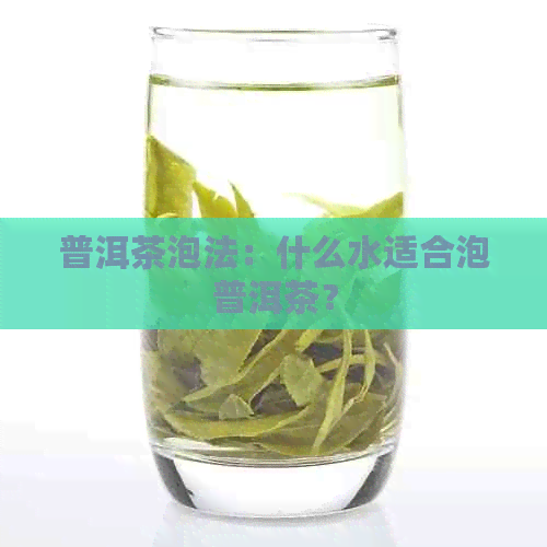 普洱茶泡法：什么水适合泡普洱茶？