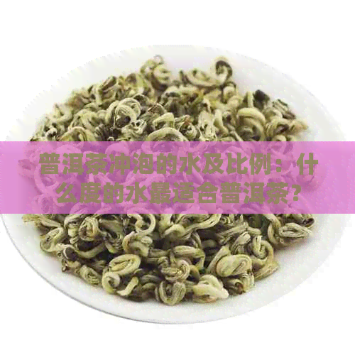 普洱茶冲泡的水及比例：什么度的水最适合普洱茶？