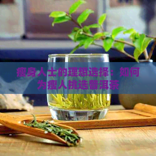 瘦身人士的理想选择：如何为瘦人挑选普洱茶