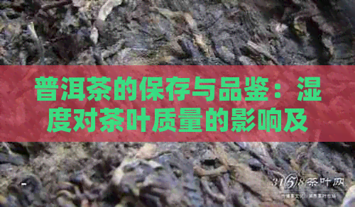 普洱茶的保存与品鉴：湿度对茶叶质量的影响及如何调整环境条件