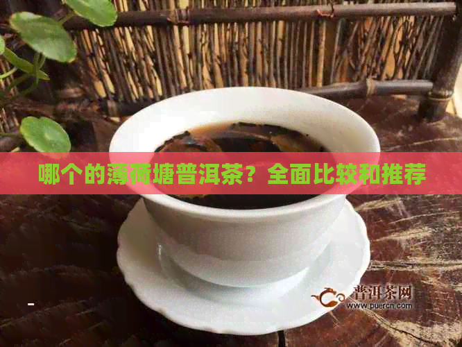 哪个的薄荷塘普洱茶？全面比较和推荐