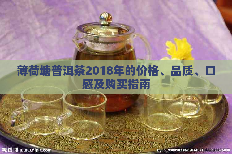 薄荷塘普洱茶2018年的价格、品质、口感及购买指南