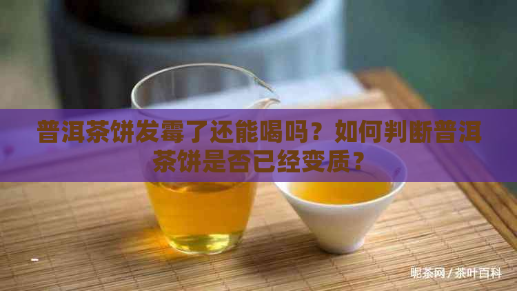 普洱茶饼发霉了还能喝吗？如何判断普洱茶饼是否已经变质？