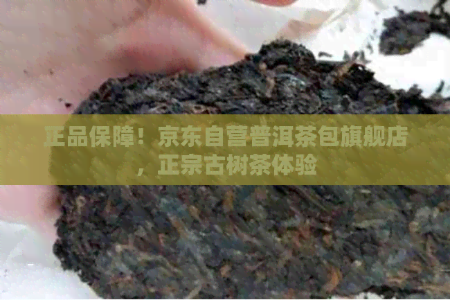 正品保障！京东自营普洱茶包旗舰店，正宗古树茶体验