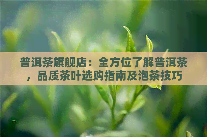 普洱茶旗舰店：全方位了解普洱茶，品质茶叶选购指南及泡茶技巧