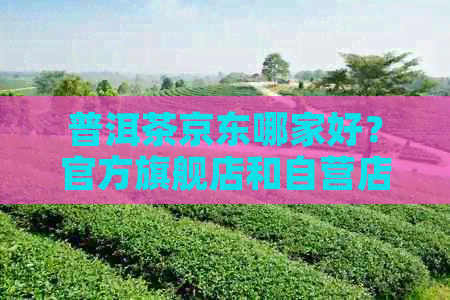 普洱茶京东哪家好？官方旗舰店和自营店哪个更靠谱？拼多多价格差异大解析