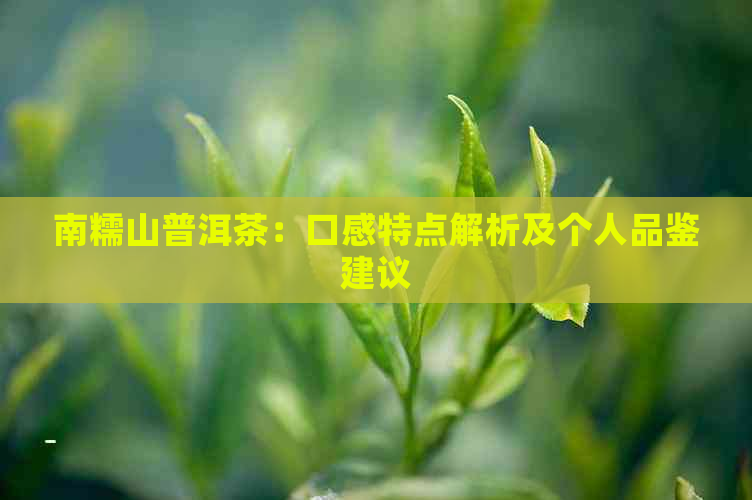 南糯山普洱茶：口感特点解析及个人品鉴建议