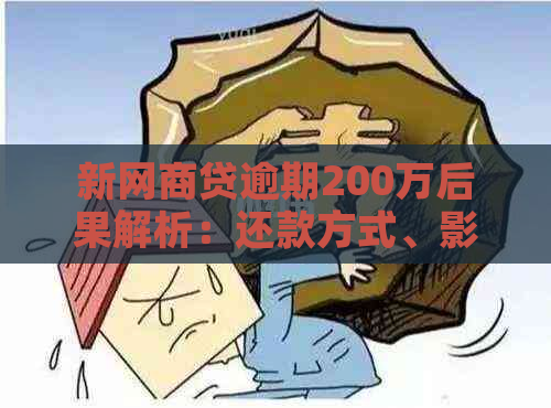 新网商贷逾期200万后果解析：还款方式、影响和解决方案全方位指南