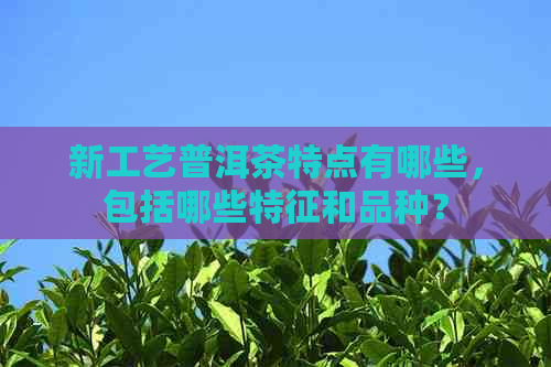 新工艺普洱茶特点有哪些，包括哪些特征和品种？