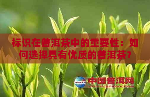 标识在普洱茶中的重要性：如何选择具有优质的普洱茶？