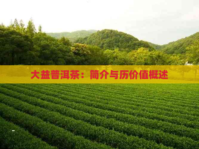 大益普洱茶：简介与历价值概述