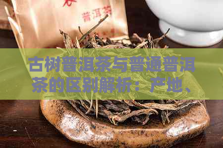 古树普洱茶与普通普洱茶的区别解析：产地、品种、品质、功效等方面的对比