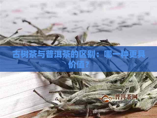 古树茶与普洱茶的区别：哪一种更具价值？