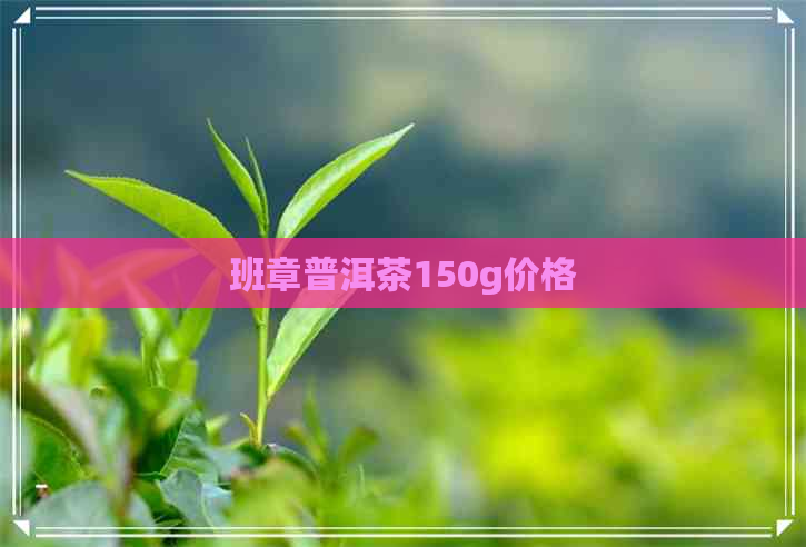 班章普洱茶150g价格