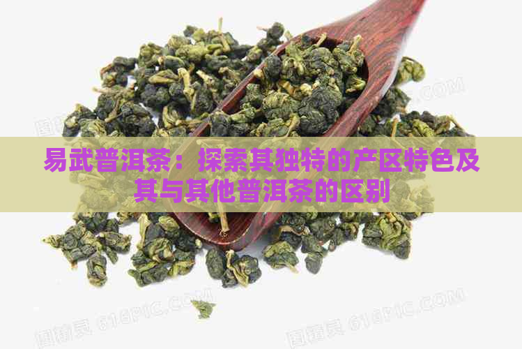 易武普洱茶：探索其独特的产区特色及其与其他普洱茶的区别