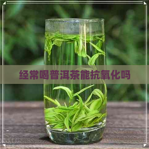 经常喝普洱茶能抗氧化吗