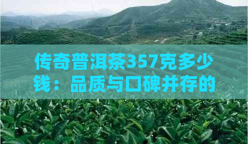 传奇普洱茶357克多少钱：品质与口碑并存的传奇普洱茶价格解析