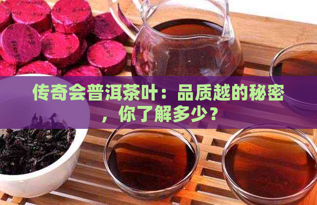 传奇会普洱茶叶：品质越的秘密，你了解多少？