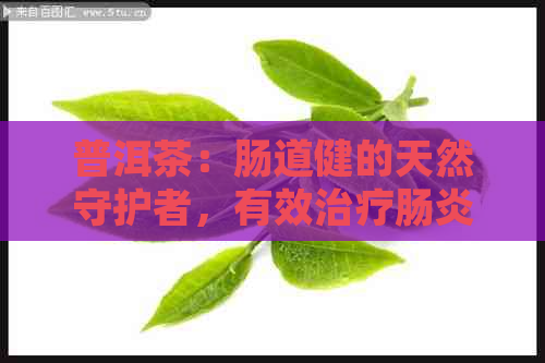 普洱茶：肠道健的天然守护者，有效治疗肠炎的秘方