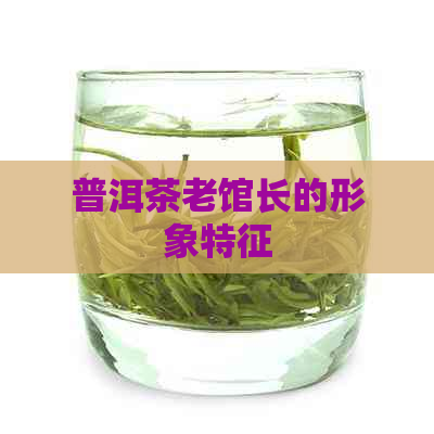 普洱茶老馆长的形象特征