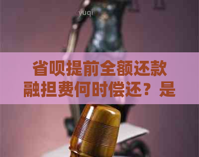 省呗提前全额还款融担费何时偿还？是否合适？还完时间？