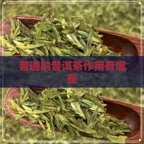 普通的普洱茶作用有哪些