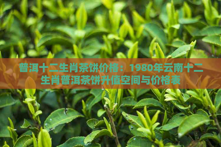 普洱十二生肖茶饼价格：1980年云南十二生肖普洱茶饼升值空间与价格表