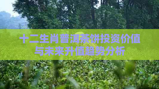 十二生肖普洱茶饼投资价值与未来升值趋势分析