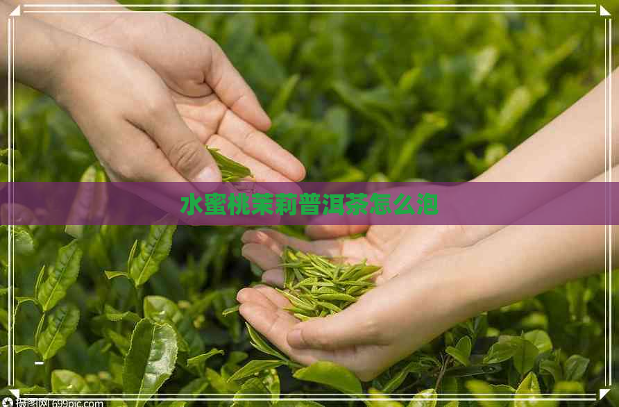 水蜜桃茉莉普洱茶怎么泡