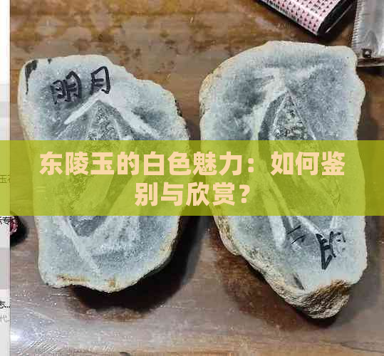 东陵玉的白色魅力：如何鉴别与欣赏？