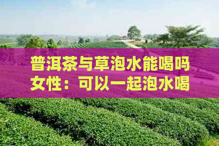 普洱茶与草泡水能喝吗女性：可以一起泡水喝，但需注意适量。