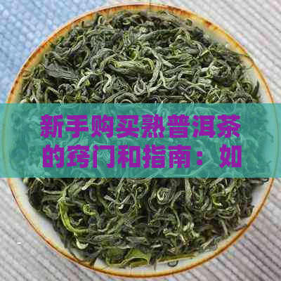 新手购买熟普洱茶的窍门和指南：如何挑选优质茶叶？