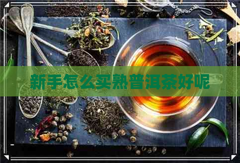 新手怎么买熟普洱茶好呢